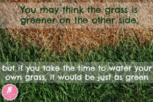 Grass-is-greener-where-you-water-it